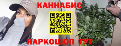 прущие грибы Кингисепп