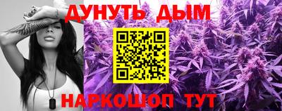 прущие грибы Кингисепп